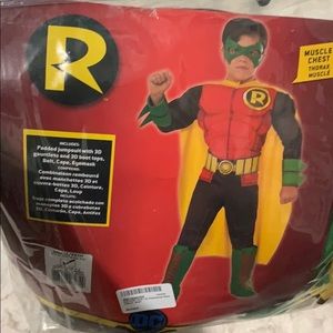 Robin halloween costume